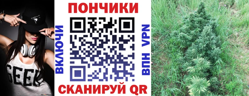 Марихуана Amnesia где купить наркотик Бобров